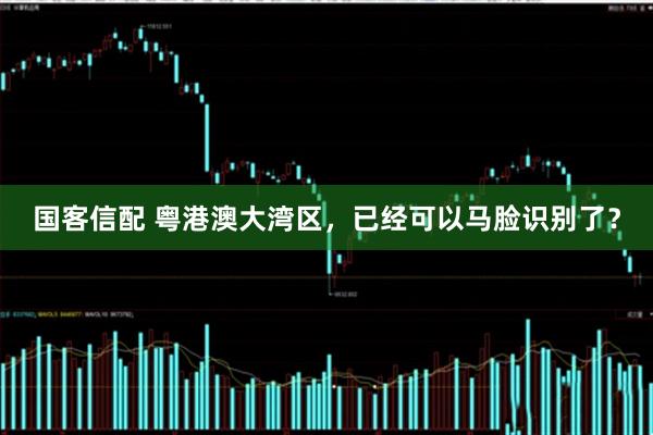 国客信配 粤港澳大湾区，已经可以马脸识别了？