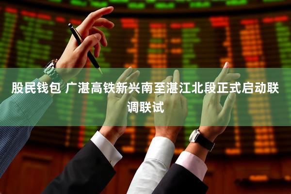 股民钱包 广湛高铁新兴南至湛江北段正式启动联调联试