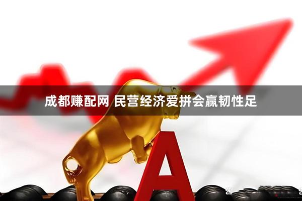 成都赚配网 民营经济爱拼会赢韧性足