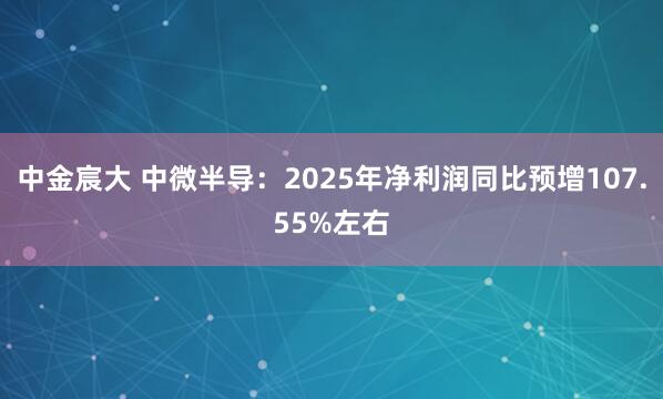 中金宸大 中微半导：2025年净利润同比预增107.55%左右